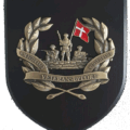 Våbenskjolde